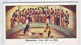30SM 5 Westminster Cock Pit in 1830.jpg